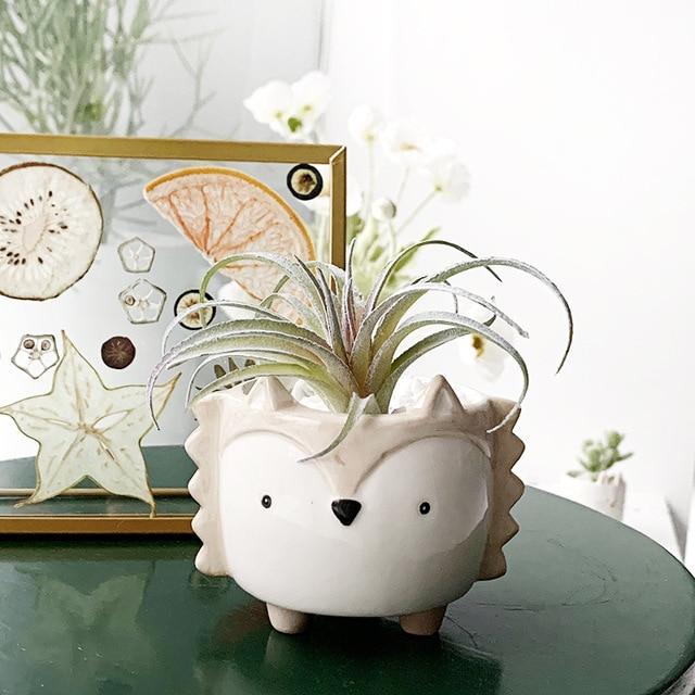 Product - Ceramic Small Animal Pot