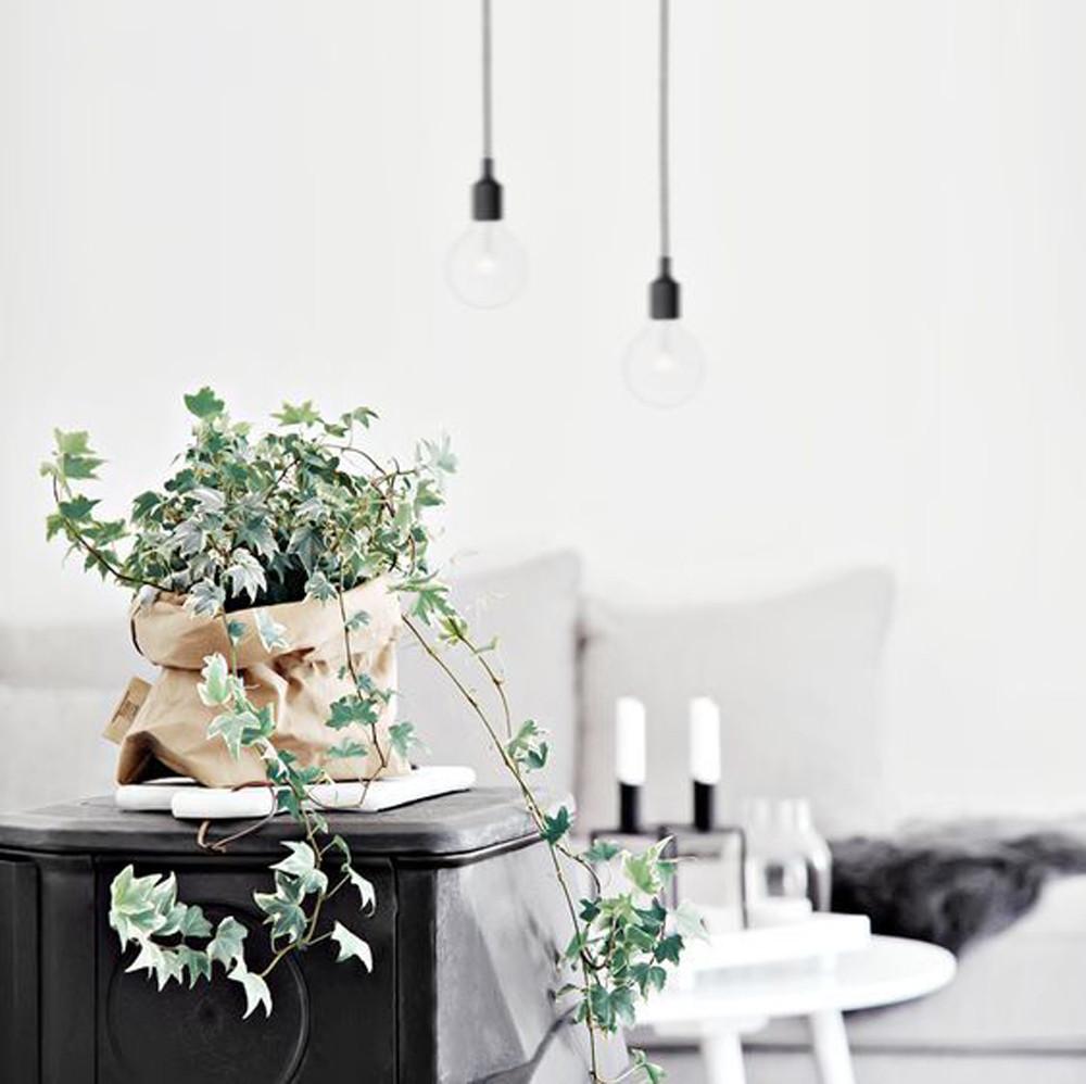 Product - Kraft Paper Bag Plant Pot