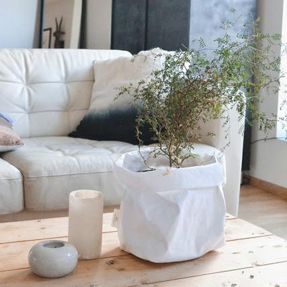 Product - Kraft Paper Bag Plant Pot