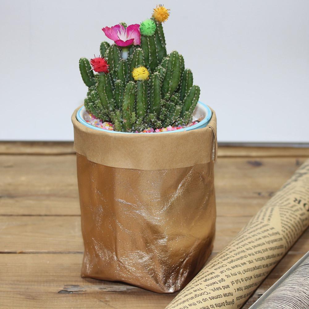 Product - Kraft Paper Bag Plant Pot